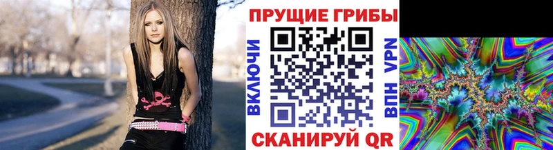 Купить закладки  Мирный  Галлюциногенные грибы ЛСД 